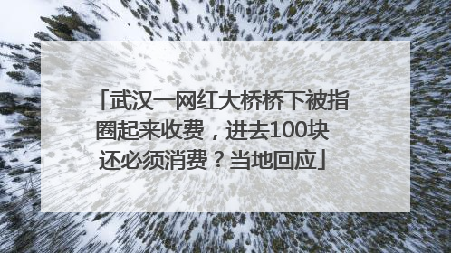 武汉一网红大桥桥下被指圈起来收费，进去100块还必须消费？当地回应