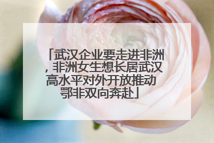 武汉企业要走进非洲，非洲女生想长居武汉 高水平对外开放推动鄂非双向奔赴