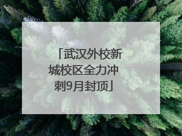 武汉外校新城校区全力冲刺9月封顶