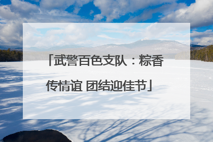 武警百色支队：粽香传情谊 团结迎佳节