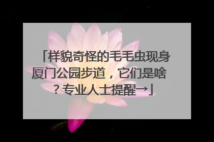 样貌奇怪的毛毛虫现身厦门公园步道，它们是啥？专业人士提醒→
