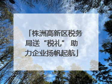 株洲高新区税务局送“税礼” 助力企业扬帆起航