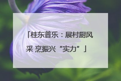 桂东普乐：展村厨风采 烹振兴“实力”