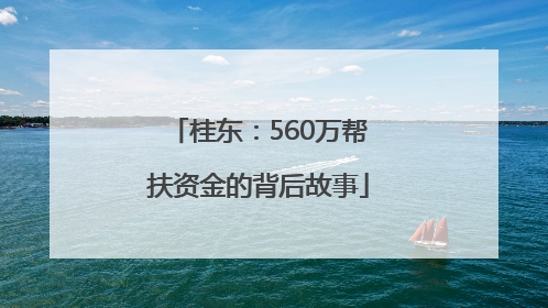 桂东：560万帮扶资金的背后故事