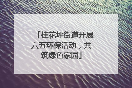 桂花坪街道开展六五环保活动，共筑绿色家园