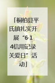 桐柏县平氏镇扎实开展“6·14信用记录关爱日”活动