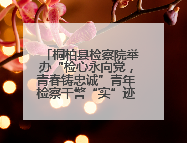 桐柏县检察院举办“检心永向党，青春铸忠诚”青年检察干警“实”迹展示活动