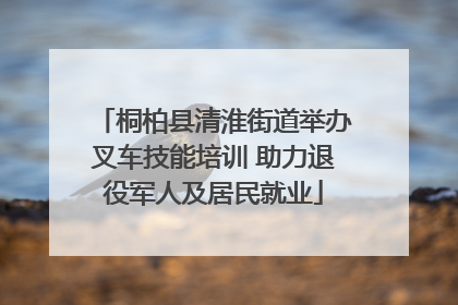 桐柏县清淮街道举办叉车技能培训 助力退役军人及居民就业