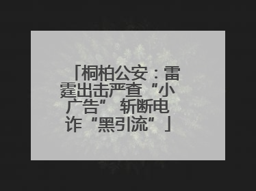 桐柏公安：雷霆出击严查“小广告” 斩断电诈“黑引流”