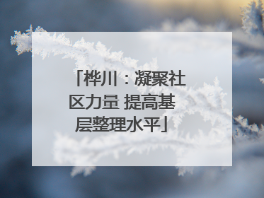 桦川：凝聚社区力量 提高基层整理水平