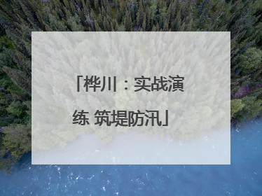 桦川：实战演练 筑堤防汛