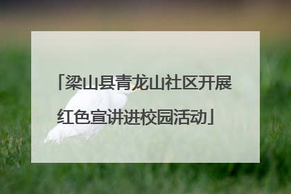 梁山县青龙山社区开展红色宣讲进校园活动