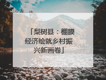 梨树县：棚膜经济绘就乡村振兴新画卷