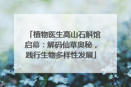 植物医生高山石斛馆启幕：解码仙草奥秘，践行生物多样性发展