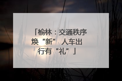 榆林：交通秩序焕“新” 人车出行有“礼”