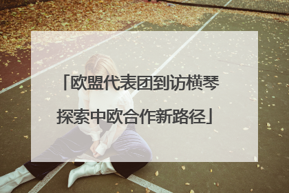 欧盟代表团到访横琴 探索中欧合作新路径