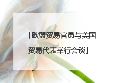 欧盟贸易官员与美国贸易代表举行会谈