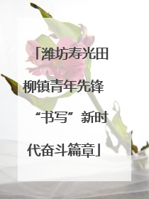 潍坊寿光田柳镇青年先锋“书写”新时代奋斗篇章