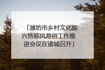 潍坊市乡村文化振兴暨移风易俗工作推进会议在诸城召开