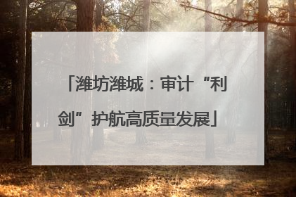 潍坊潍城：审计“利剑”护航高质量发展