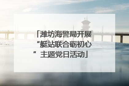 潍坊海警局开展“艇站联合砺初心”主题党日活动