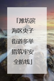 潍坊滨海区央子街道多举措筑牢安全防线