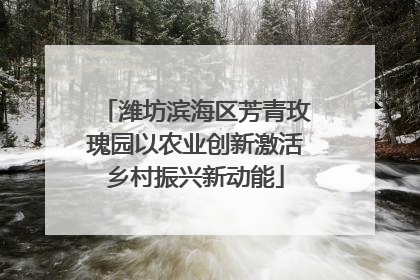潍坊滨海区芳青玫瑰园以农业创新激活乡村振兴新动能