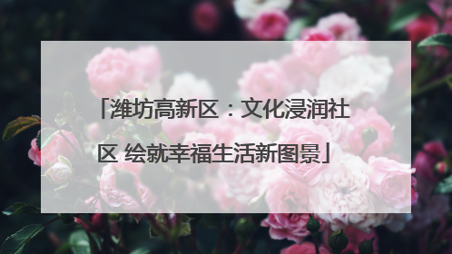 潍坊高新区：文化浸润社区 绘就幸福生活新图景