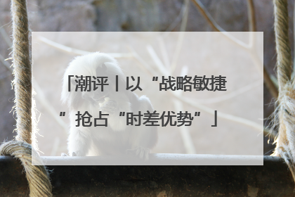 潮评丨以“战略敏捷”抢占“时差优势”
