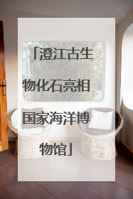 澄江古生物化石亮相国家海洋博物馆