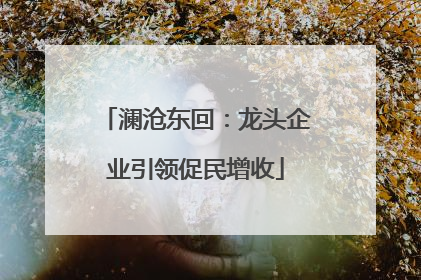 澜沧东回：龙头企业引领促民增收