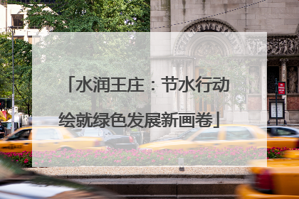 水润王庄：节水行动绘就绿色发展新画卷