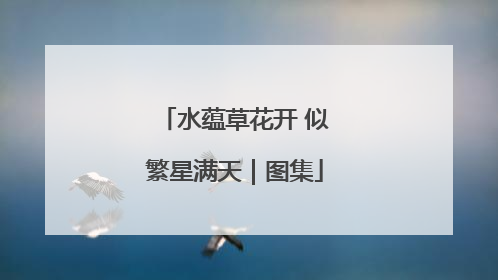 水蕴草花开 似繁星满天｜图集