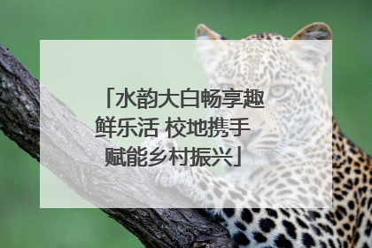 水韵大白畅享趣鲜乐活 校地携手赋能乡村振兴