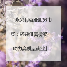 永兴县就业服务市场：搭建供需桥梁 助力高质量就业