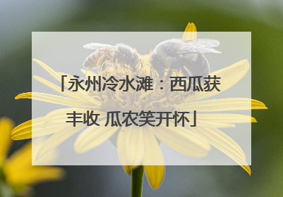 永州冷水滩：西瓜获丰收 瓜农笑开怀