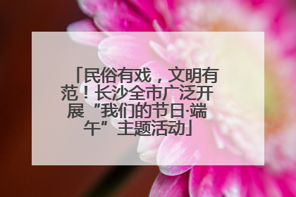 民俗有戏，文明有范！长沙全市广泛开展“我们的节日·端午”主题活动