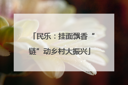 民乐：挂面飘香“链”动乡村大振兴