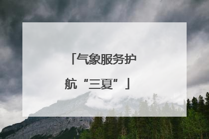 气象服务护航“三夏”