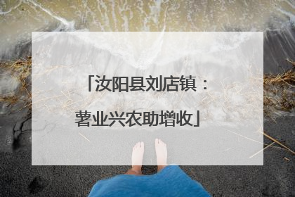 汝阳县刘店镇：薯业兴农助增收