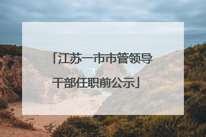 江苏一市市管领导干部任职前公示