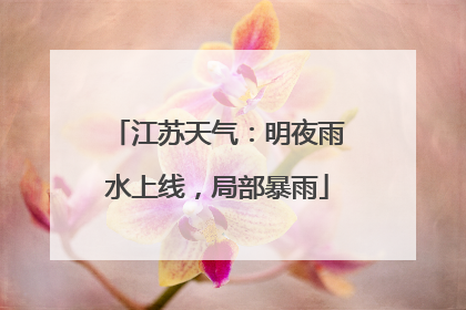 江苏天气：明夜雨水上线，局部暴雨