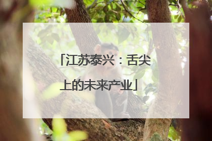 江苏泰兴：舌尖上的未来产业