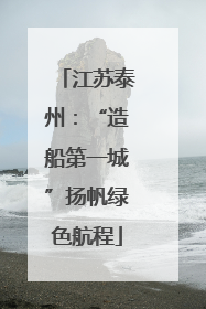 江苏泰州：“造船第一城”扬帆绿色航程
