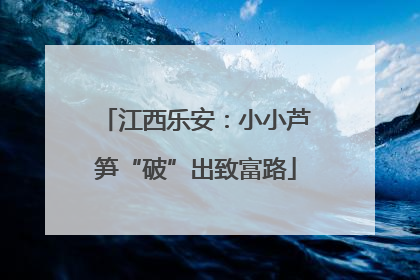 江西乐安：小小芦笋“破”出致富路