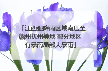 江西强降雨区域南压至赣州抚州等地 部分地区有暴雨局部大暴雨