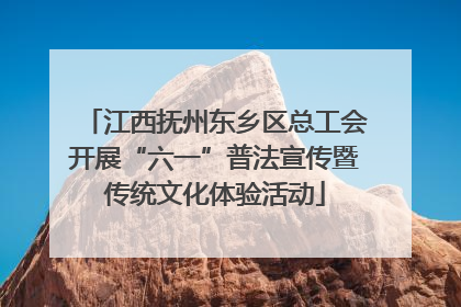 江西抚州东乡区总工会开展“六一”普法宣传暨传统文化体验活动