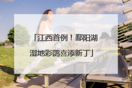 江西首例！鄱阳湖湿地彩鹮喜添新丁