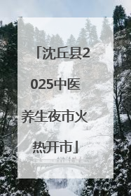 沈丘县2025中医养生夜市火热开市