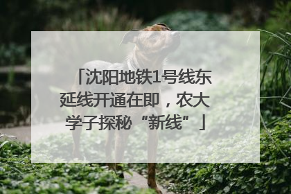沈阳地铁1号线东延线开通在即，农大学子探秘“新线”